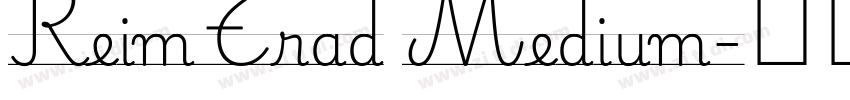 ReimTrad Medium字体转换
